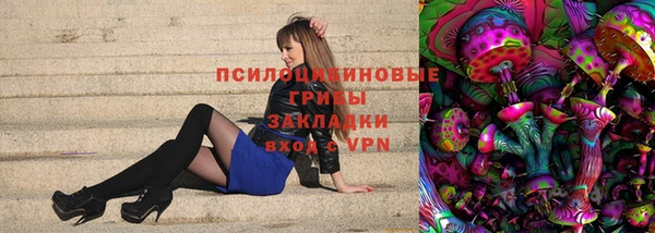 МДПВ Волоколамск