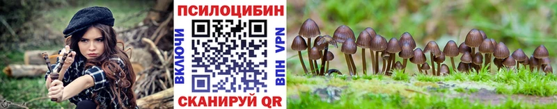 где можно купить наркотик  Гагарин  Галлюциногенные грибы Cubensis 